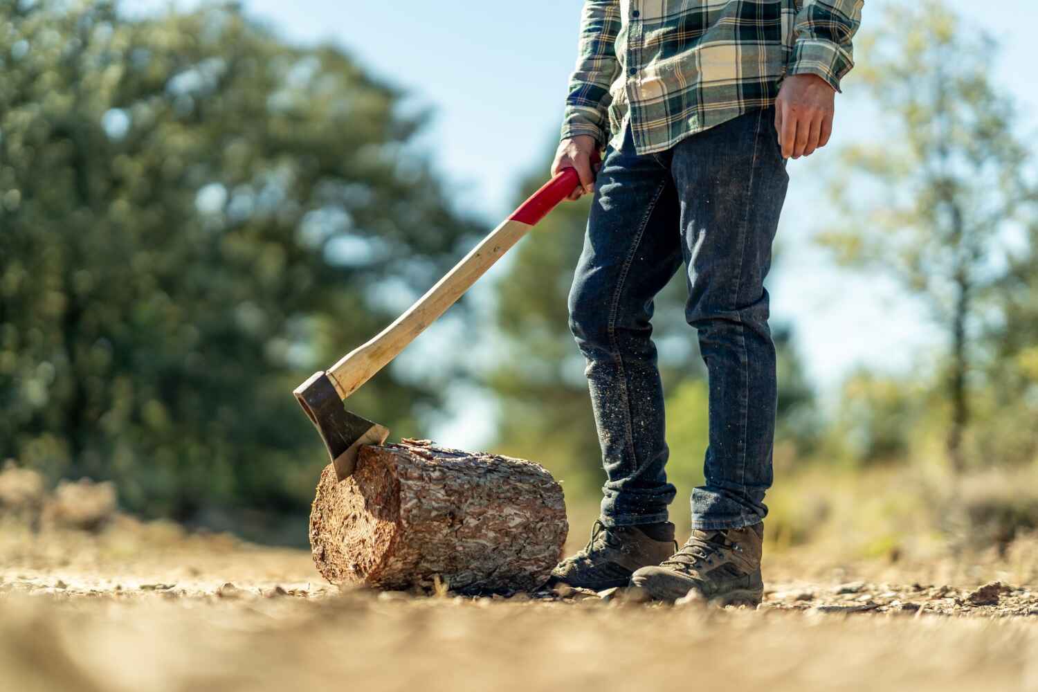  Bayfield, CO TreeGuard Tree Service Pros